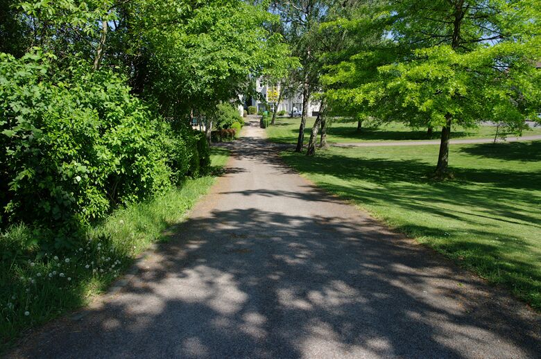 Weg-HM-a23 von der Straße Rothebach aus