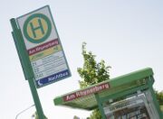 HSS Am Rhynerberg.jpg