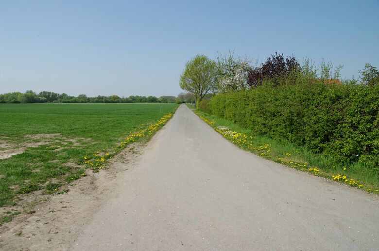 Straße-UE08 vom Westenfeldweg aus