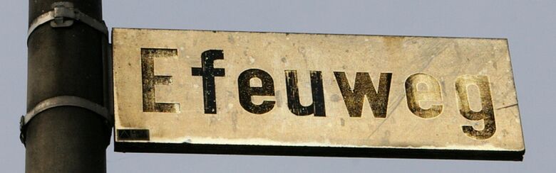 Straßenschild Efeuweg