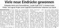 Westfälischer Anzeiger, 15. Januar 2011