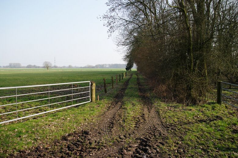 Straße-RH145 von der Straße-RH103 aus