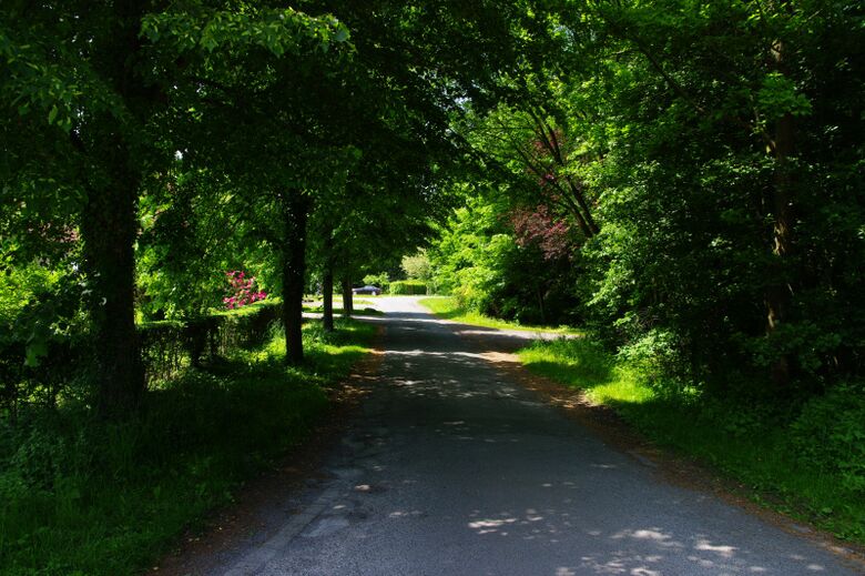 Drei Eichen Weg von der Gobel-von-Drechen-Straße aus