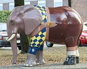 Elefant unbekannt 1.jpg