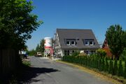 Wilms Kotten01.jpg