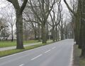 Fährstraße