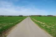 In der Adel 04.jpg