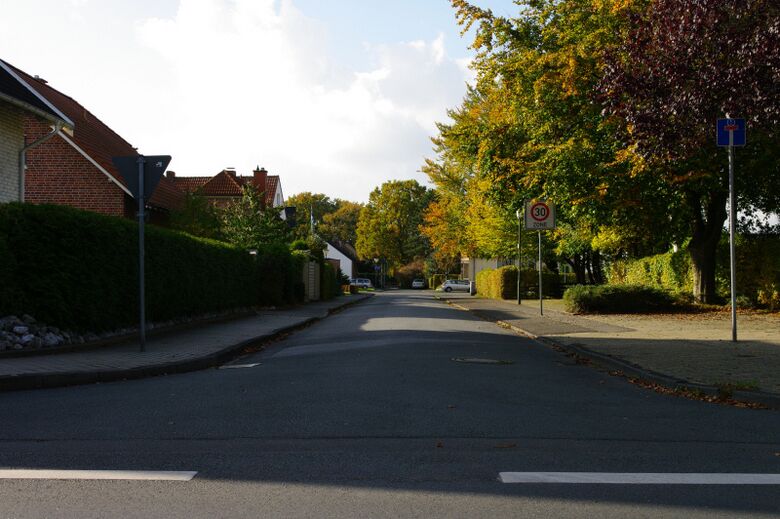 Ostenheide von der Braamer Straße aus