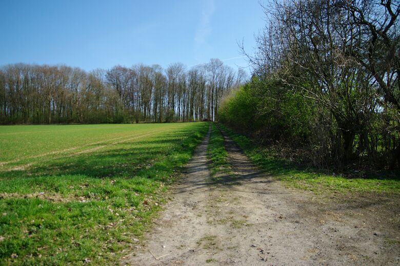 Straße-RH109 von Im Zengerott aus