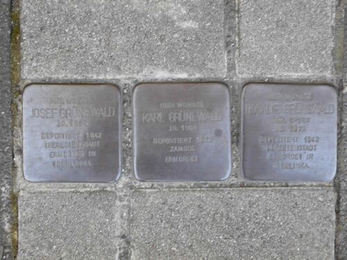 Stolpersteine Gottfried-Bürger-Straße Familie Grünewald.jpg
