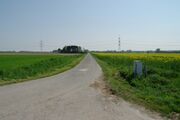 Strasse UE74 01.jpg