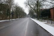 Adenauerallee01.jpg