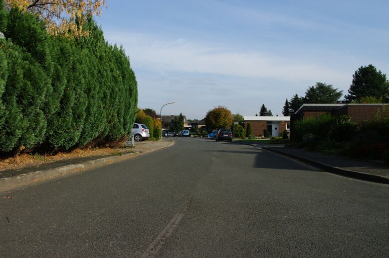 Geisthofskönig von Rosenwinkel aus