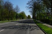 Vogelsang01.jpg