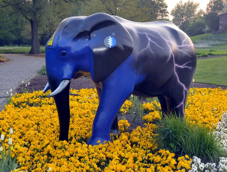 Datei:Elefant 2009 19.jpg