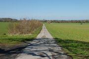 Strasse RH48 03.jpg