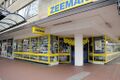 3 (Eingang rechts) – Zeeman