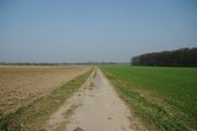 Strasse RH106 01.jpg