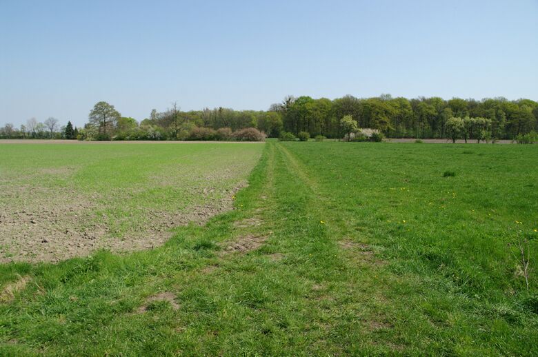 Straße-UE26 von der Ziegeleistraße aus