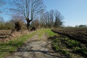 Strasse RH125 01.jpg