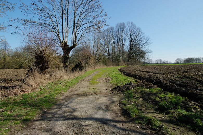Straße-RH125 von der Grönebergstraße aus