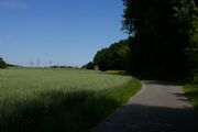 Erlenbachstrasse02.jpg