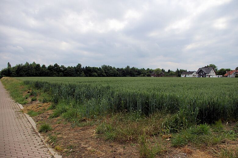 Plangebiet Pfingstrosenweg