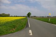 Frielinghauser Strasse02.jpg