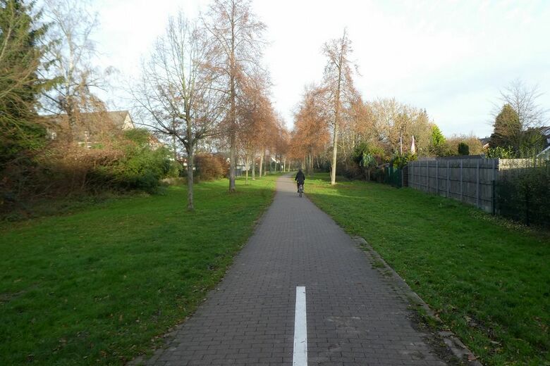 Erika-Salomon-Weg von Am Pilsholz aus