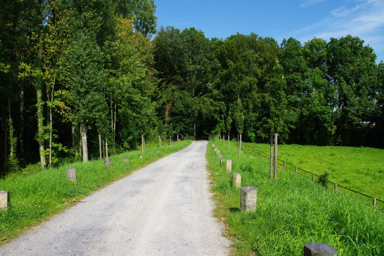 Ostholz vom Alter Uentroper Weg aus