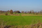 Strasse RH06 01.jpg
