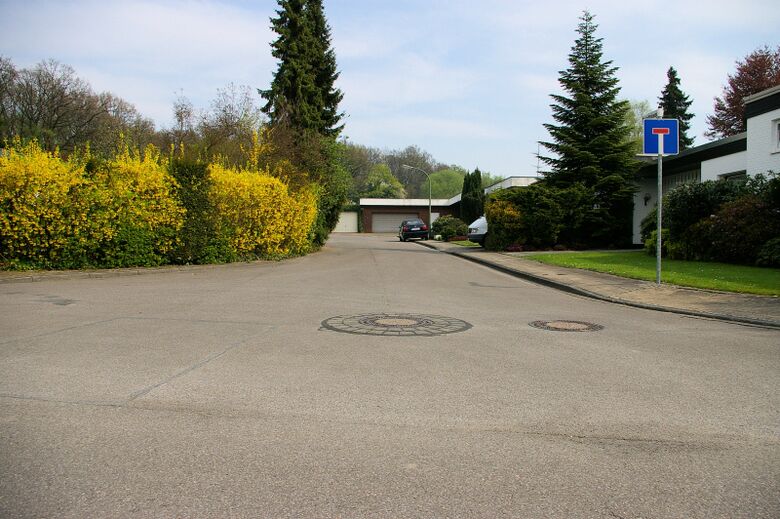 Distelfinkweg von der Bergstraße aus