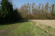 Strasse RH64 01.jpg