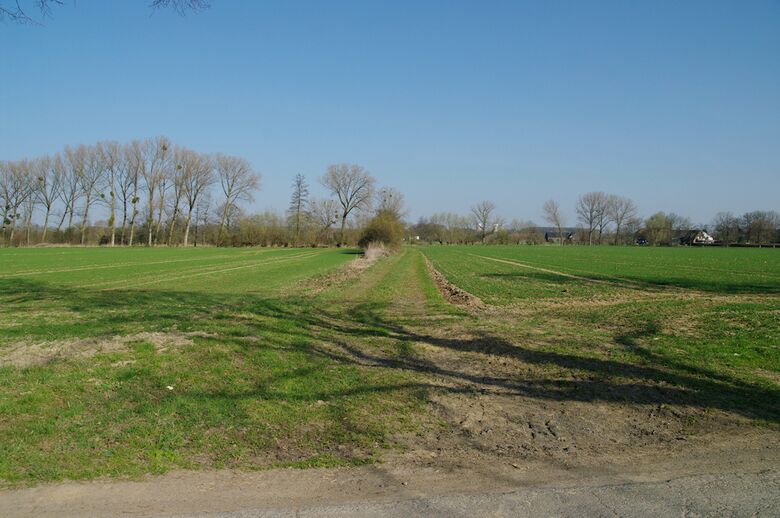 Straße-PE19 von der Wilhelm-Lange-Straße aus