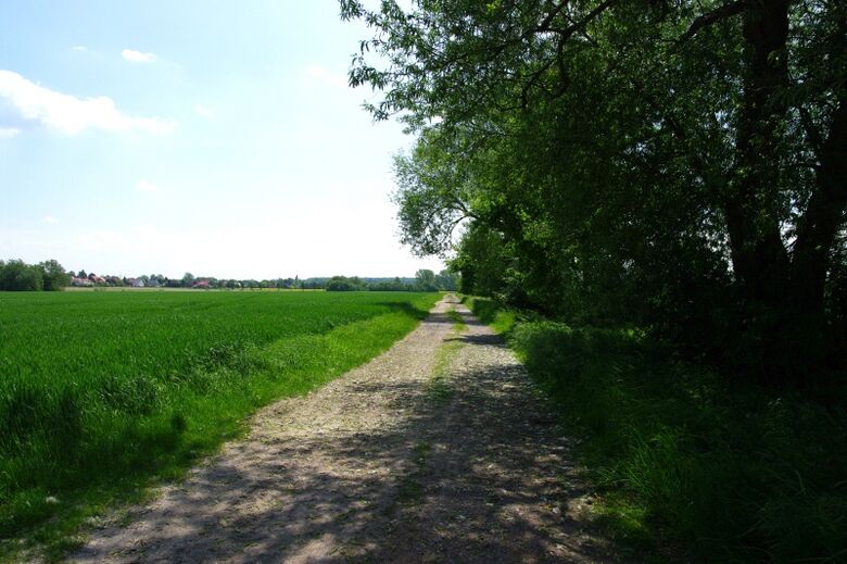 Nordkampweg vom Alten Hellweg aus Richtung Hilbeck