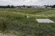 Auenpark-14.jpg