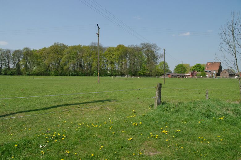 Straße-UE15 von der Königsheide aus