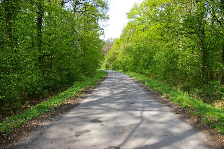 Saalkampweg