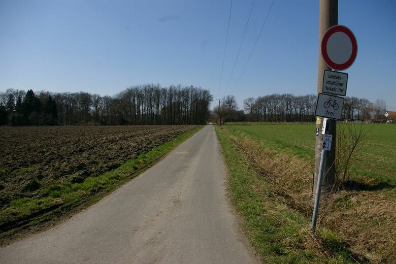 Am Böckenberg vom Telgenkamp aus