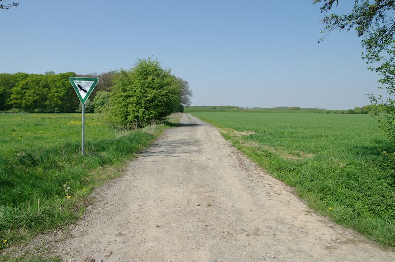 Datei:Strasse UE51 01.jpg