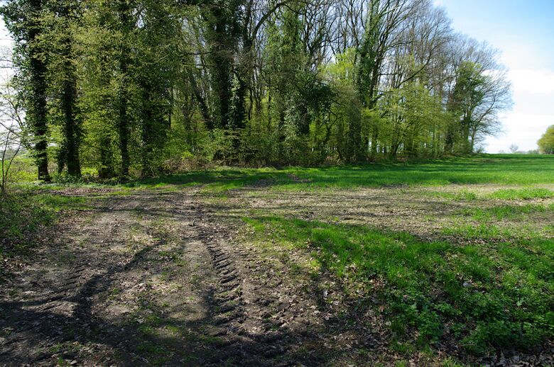 Straße-BH01 von der Horster Straße aus