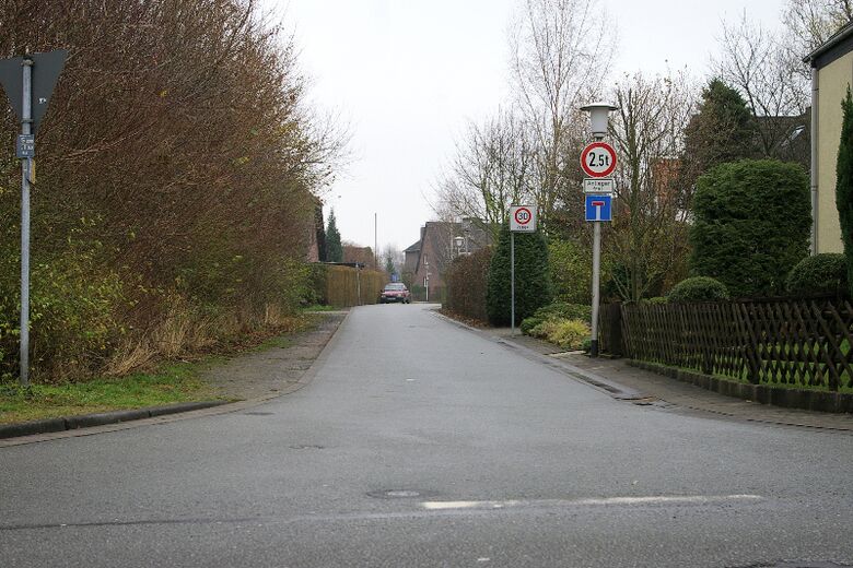 Schlaunstraße von der Menzelstraße aus