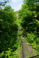 Der Pelkumer Bach am Deutzholz