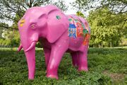 Elefant 2009 28.jpg
