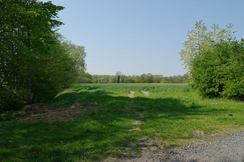 Straße-UE13 vom Kreuzkamp aus