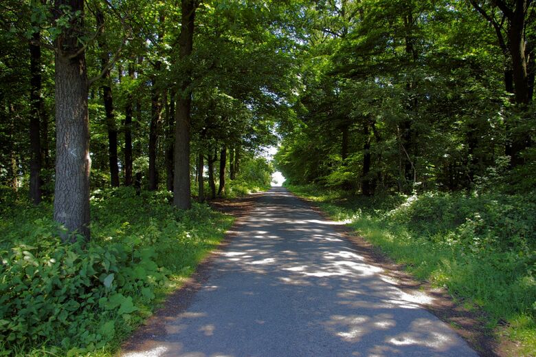 Krutmerfeld Ecke Krutmanns Weg