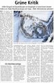 "Grüne Kritik", Westfälischer Anzeiger, 13. Januar 2010