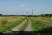 Strasse UE132 01.jpg