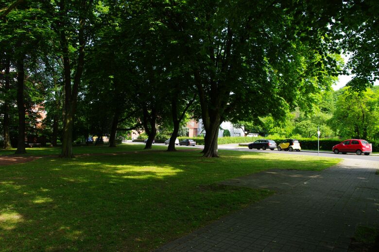 Böckenhege von der Heessener Dorfstraße aus