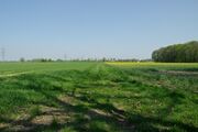 Strasse UE101 01.jpg